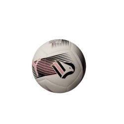 Pallone Palermo