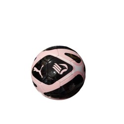 Pallone Palermo